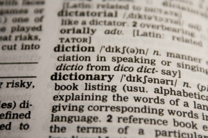 Photo of page from dictionary