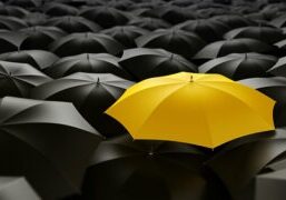 Yellow Umbrella